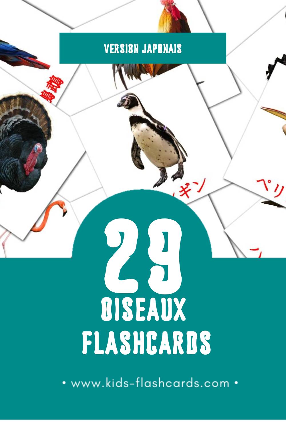 Flashcards Visual 鳥 pour les tout-petits (29 cartes en Japonais)