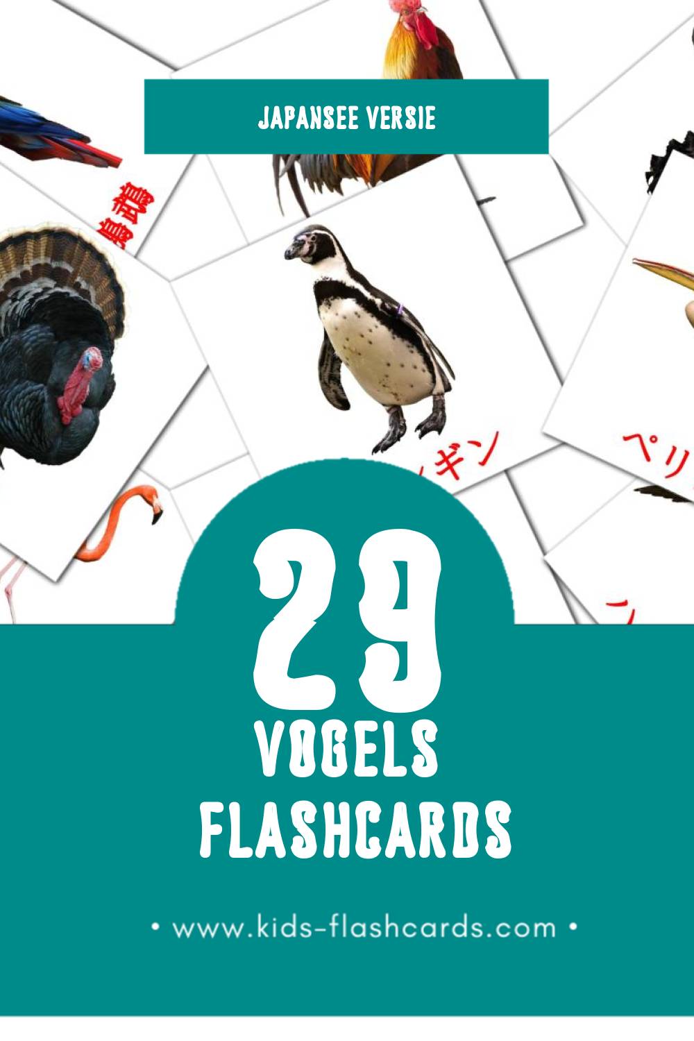 Visuele 鳥 Flashcards voor Kleuters (29 kaarten in het Japanse)
