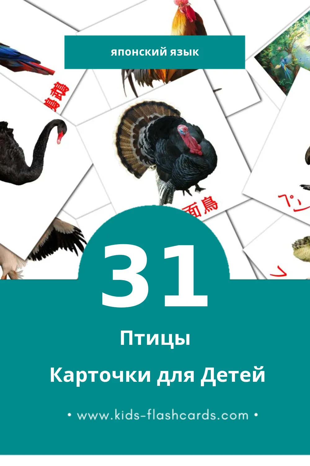 "鳥" - Визуальный Японском Словарь для Малышей (31 картинок)