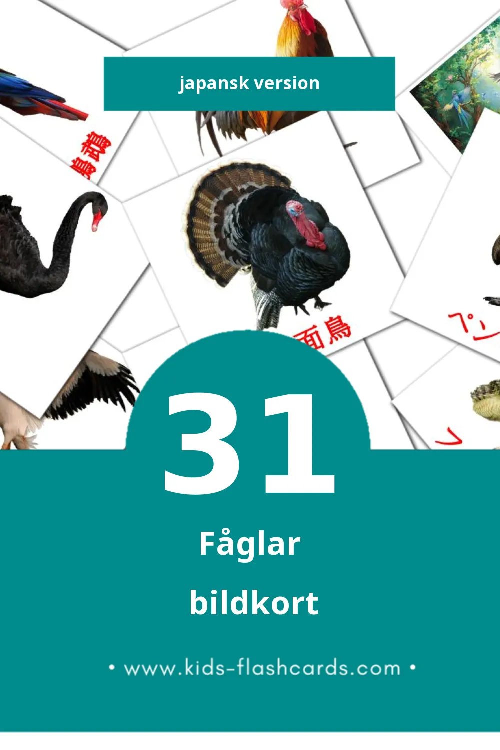 Visuella 鳥 för småbarn (31 bildkort för barn på Japansk)