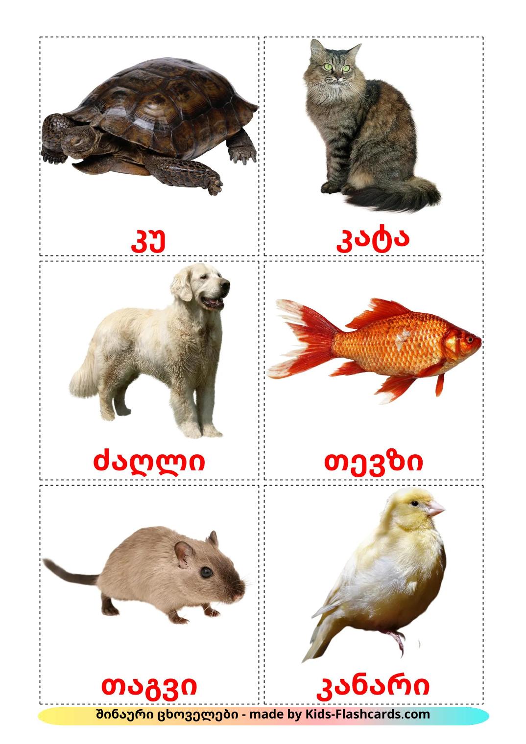 Domestic animals - 11 Free Printable georgian Flashcards 