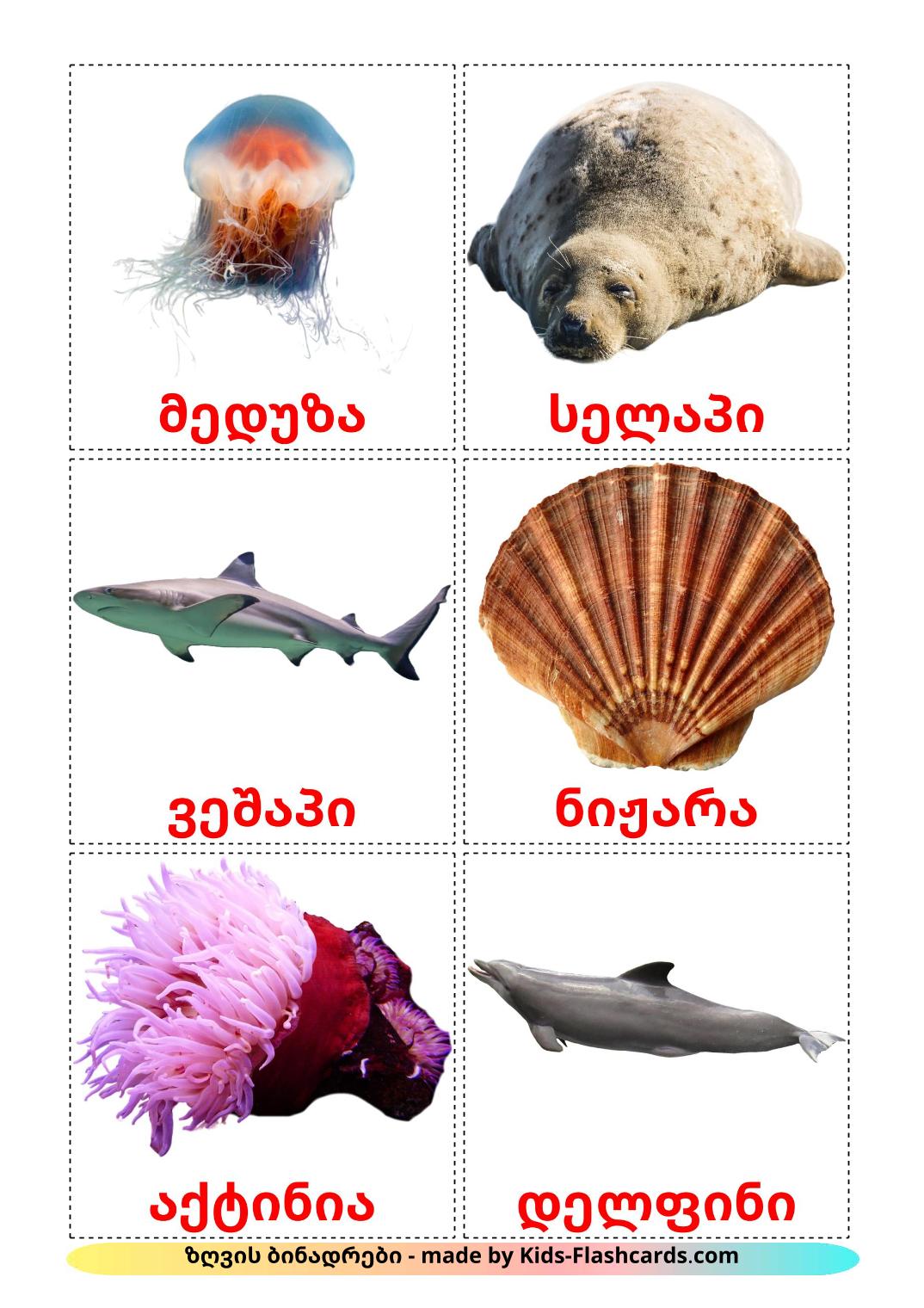 Морские животные - 29 Карточек Домана на грузинском