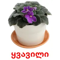 ყვავილი Tarjetas didacticas
