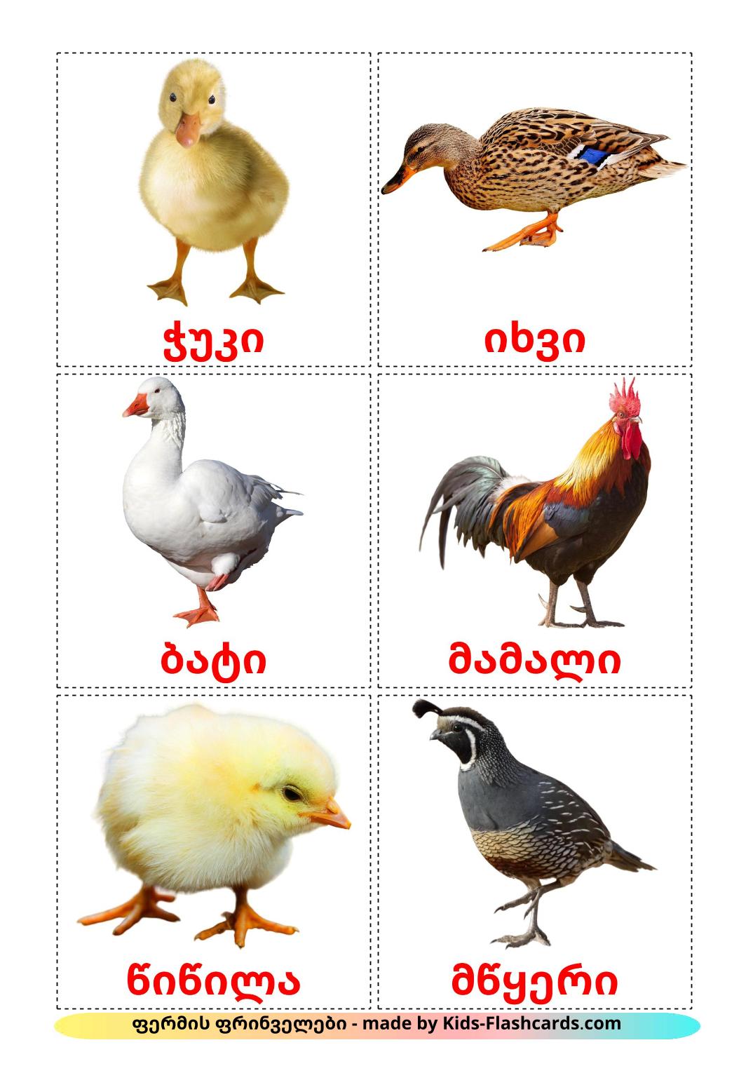 Uccelli di fattoria - 11 flashcards georgiano stampabili gratuitamente