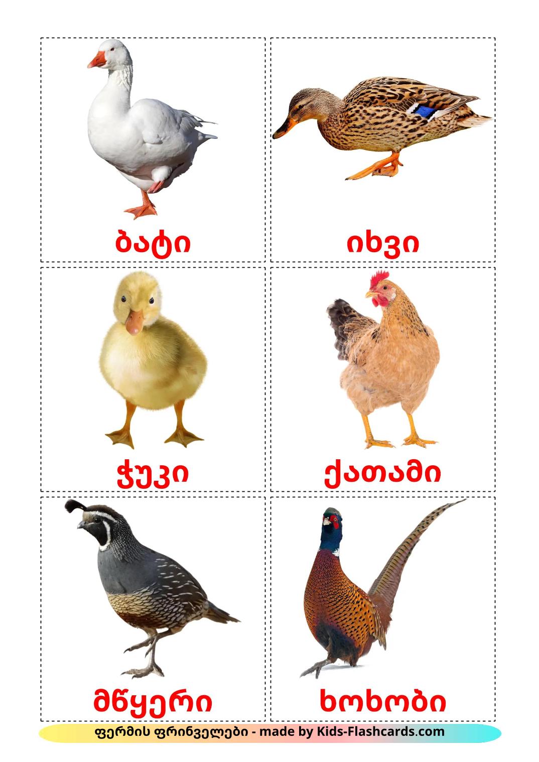 Aves da Quinta - 12 Flashcards georgianoes gratuitos para impressão