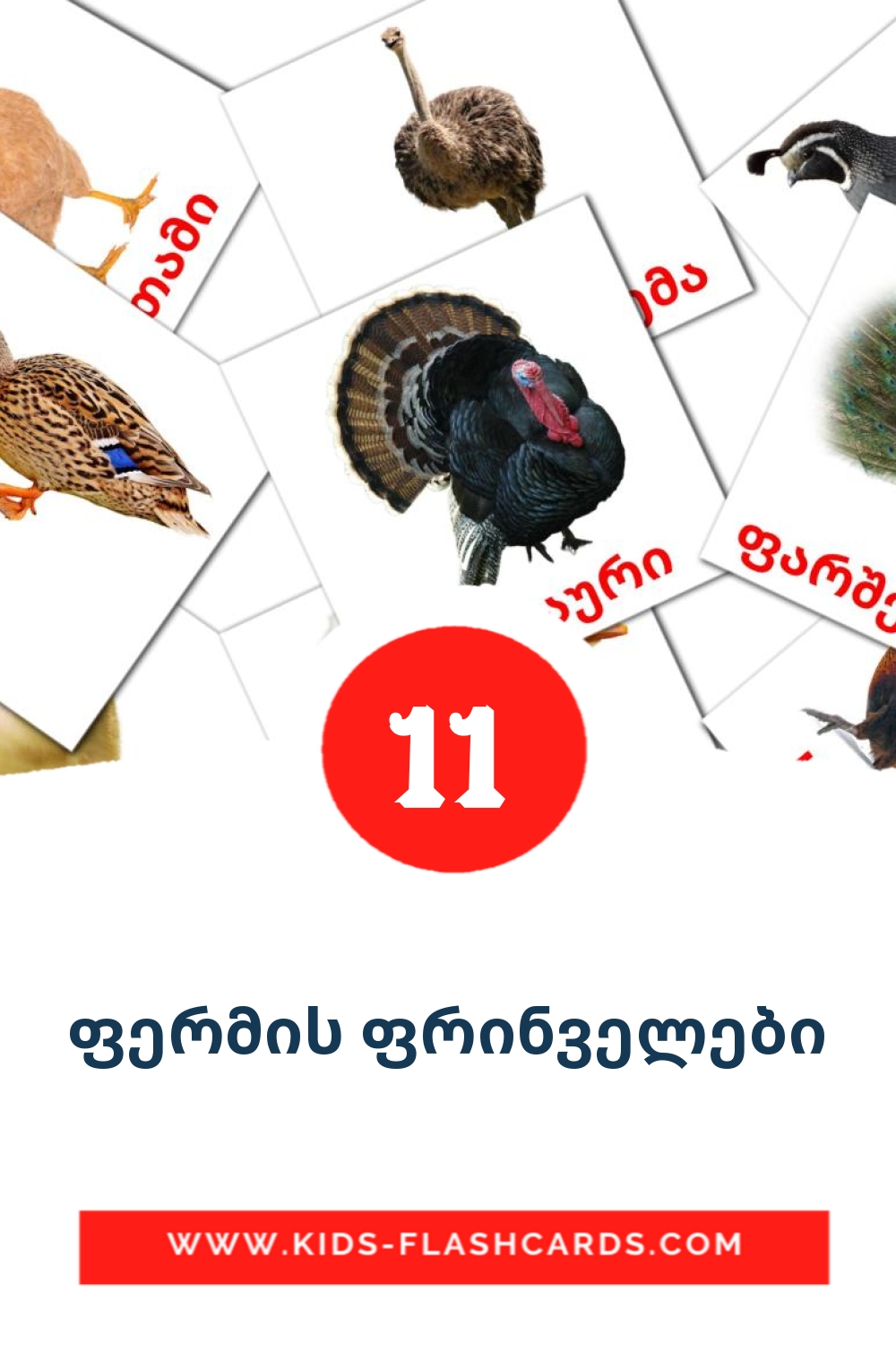 11 carte illustrate di ფერმის ფრინველები per la scuola materna in georgiano