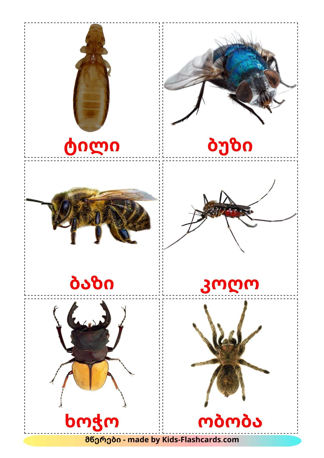 Les Insectes - 23 Flashcards géorgien imprimables gratuitement