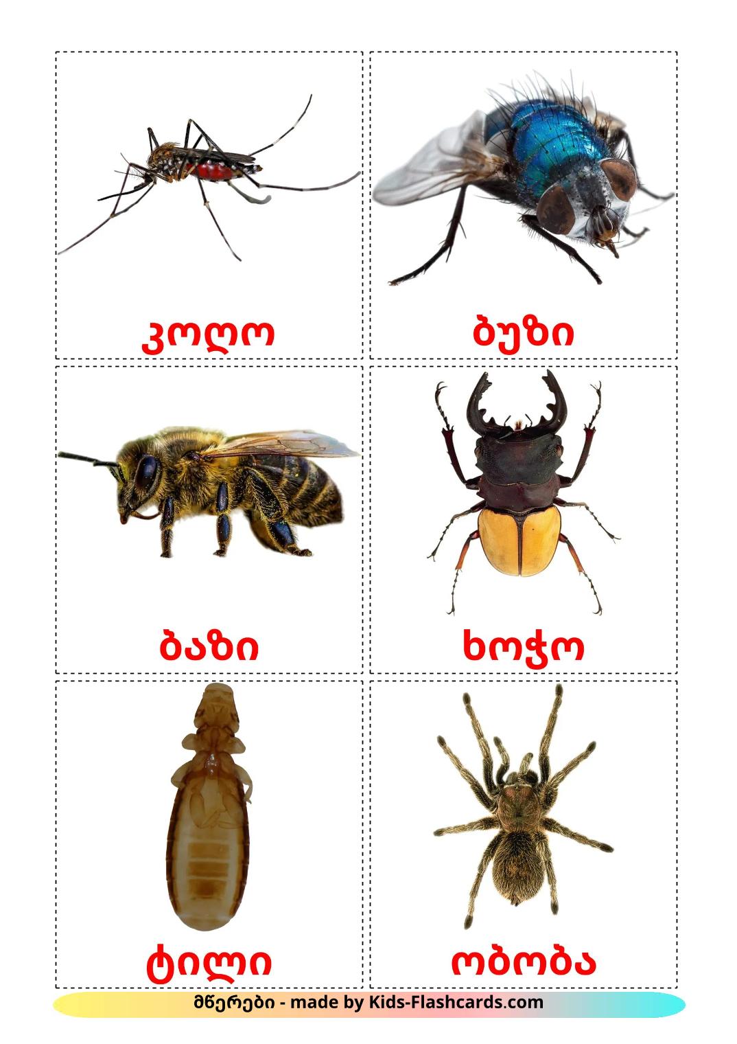 Insekt - 24 kostenlose, druckbare uzbek Flashcards 