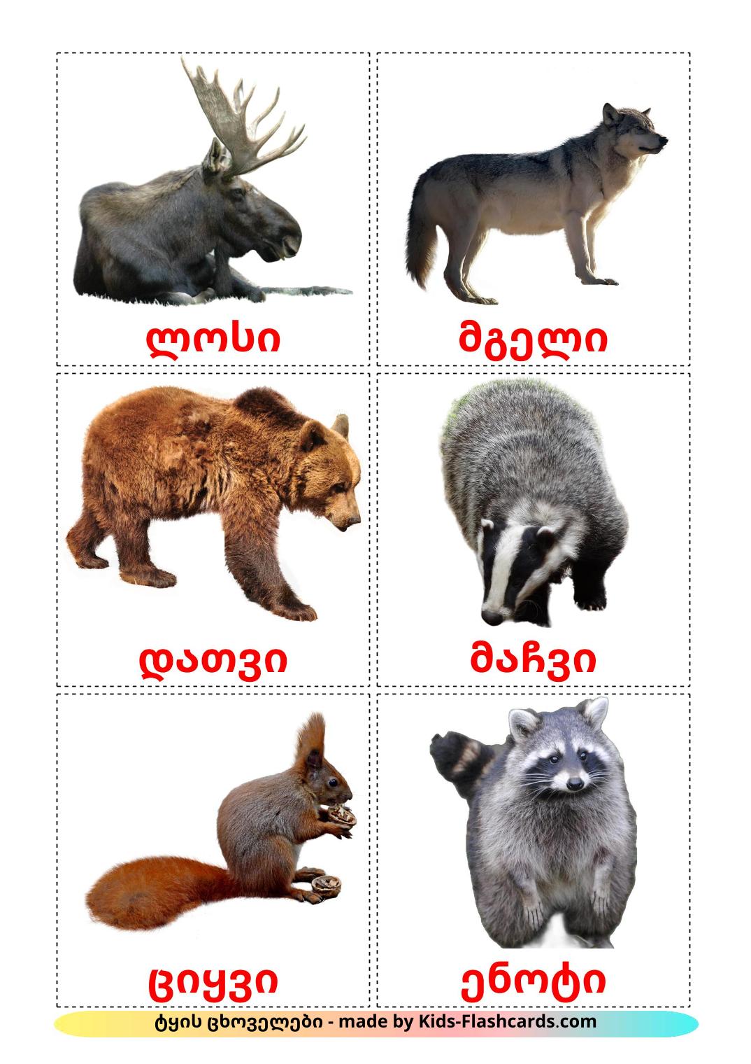 Animali della foresta - 22 flashcards georgiano stampabili gratuitamente