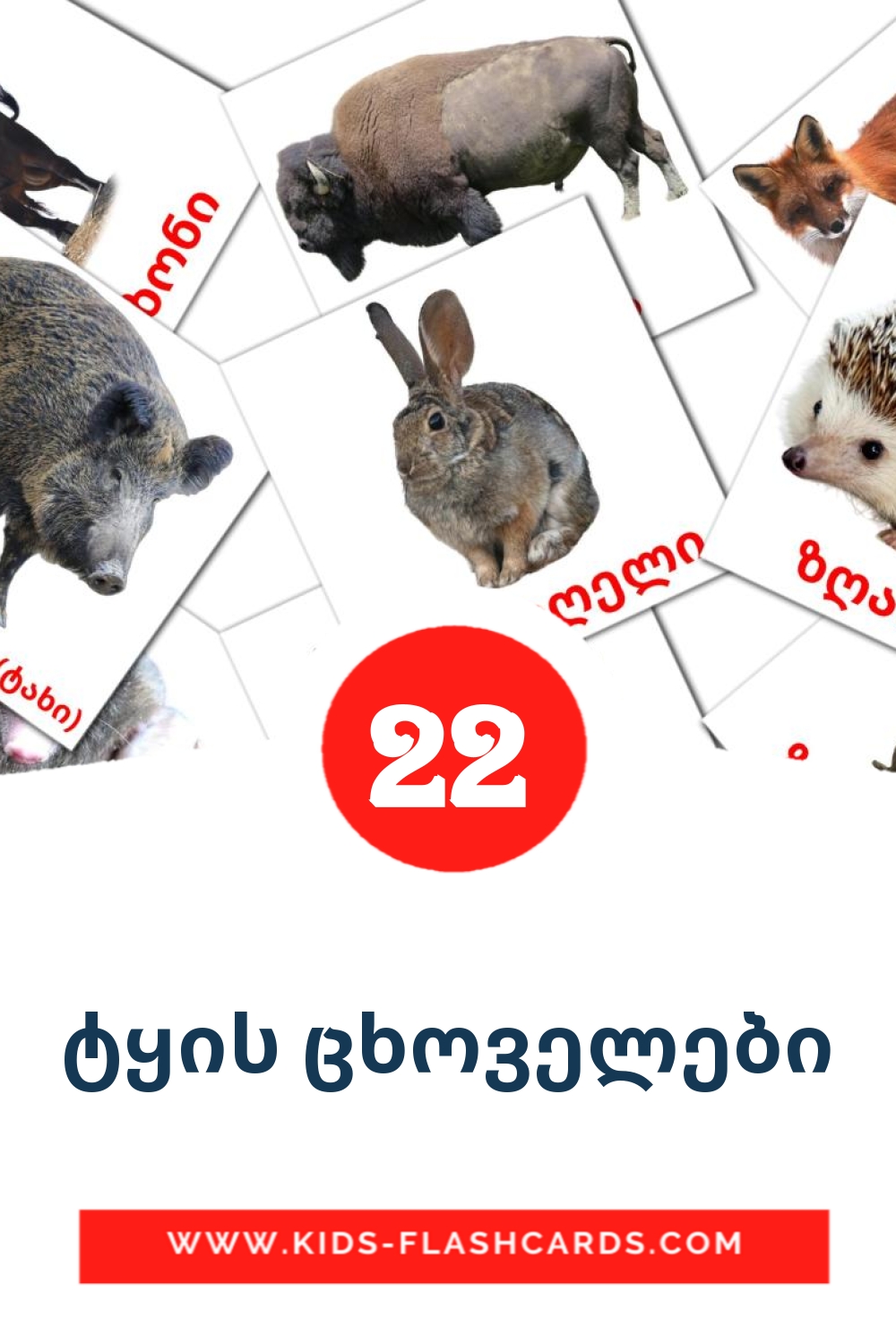 22 carte illustrate di ტყის ცხოველები per la scuola materna in georgiano