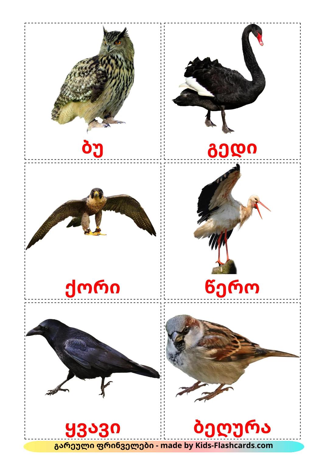 Wild birds - 19 Free Printable georgian Flashcards 