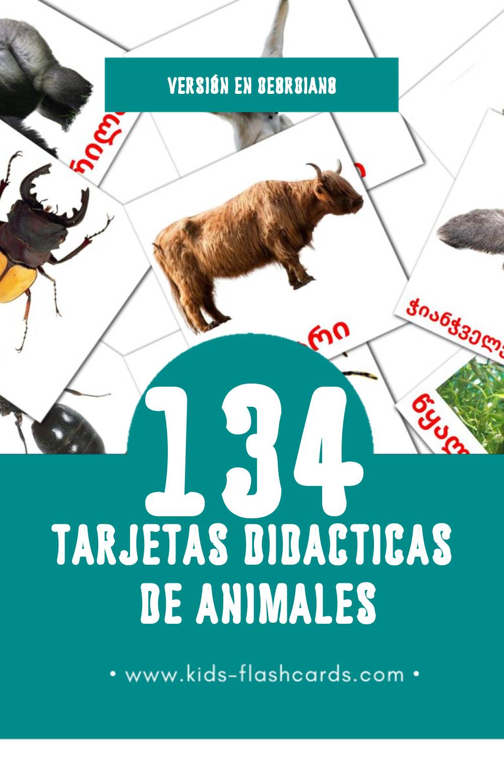 Tarjetas visuales de ცხოველები para niños pequeños (134 tarjetas en Georgiano)