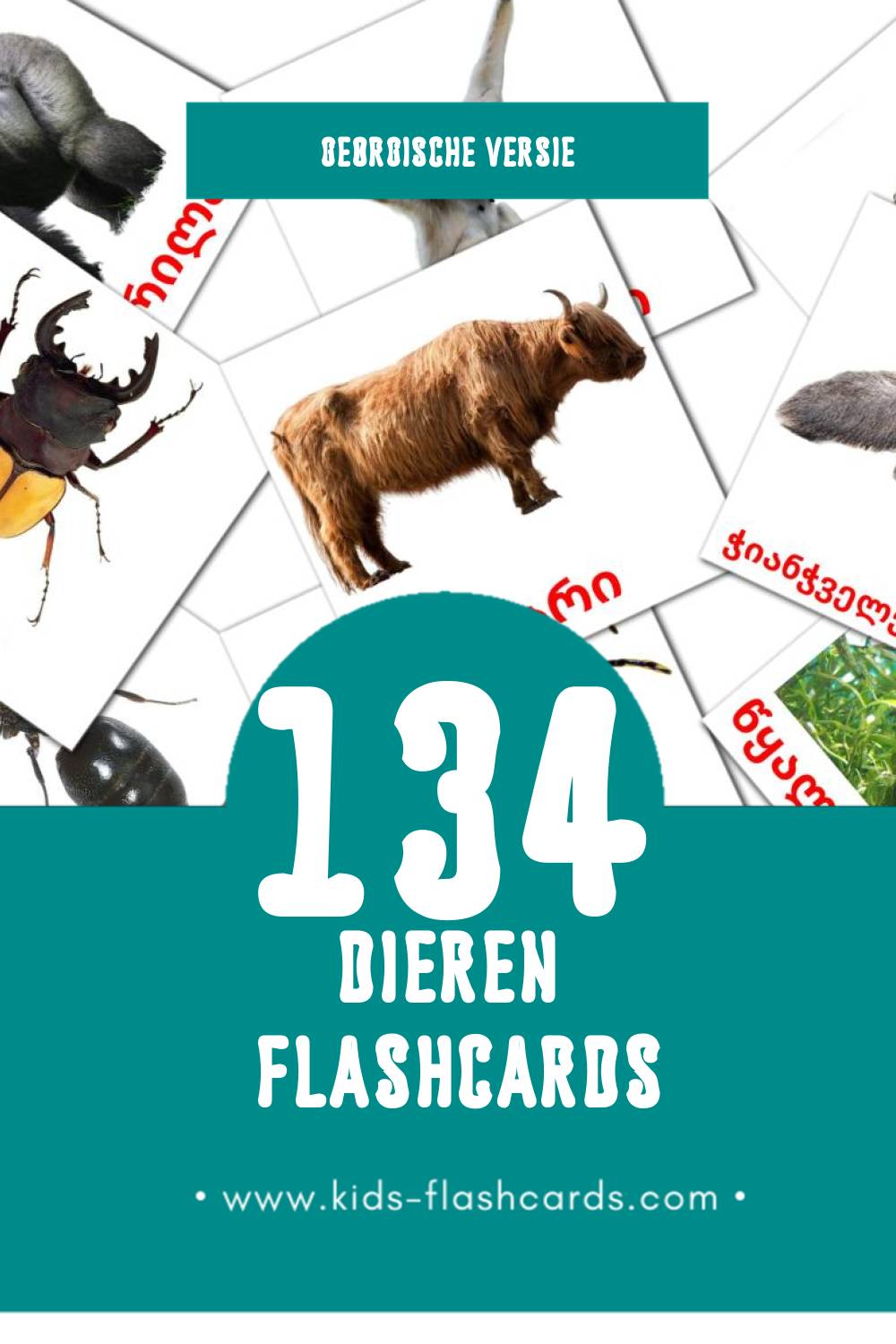 Visuele ცხოველები Flashcards voor Kleuters (134 kaarten in het Georgisch)