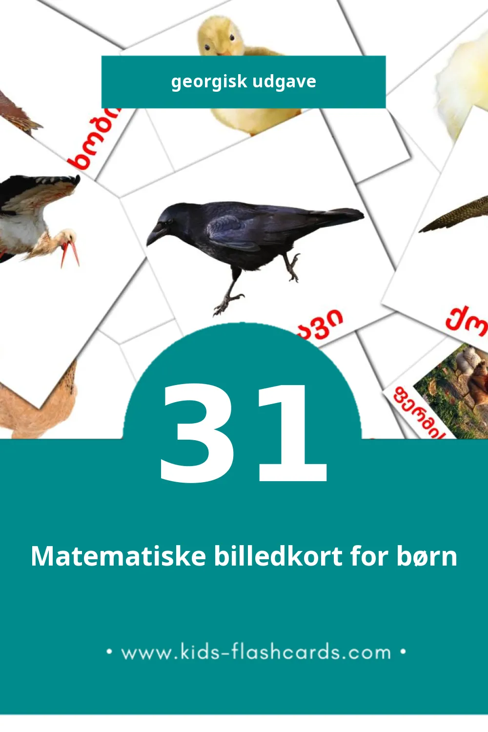Visuelle billedkort for børn om ფრინველები til småbørn (31 kort på Georgisk)
