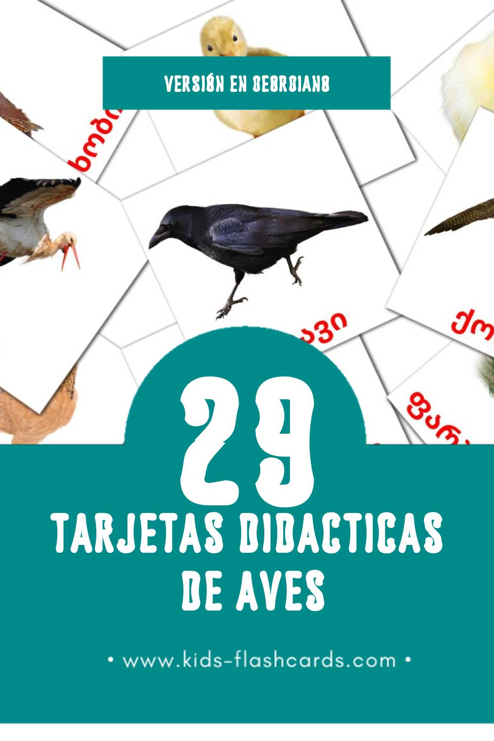 Tarjetas visuales de ფრინველები para niños pequeños (29 tarjetas en Georgiano)