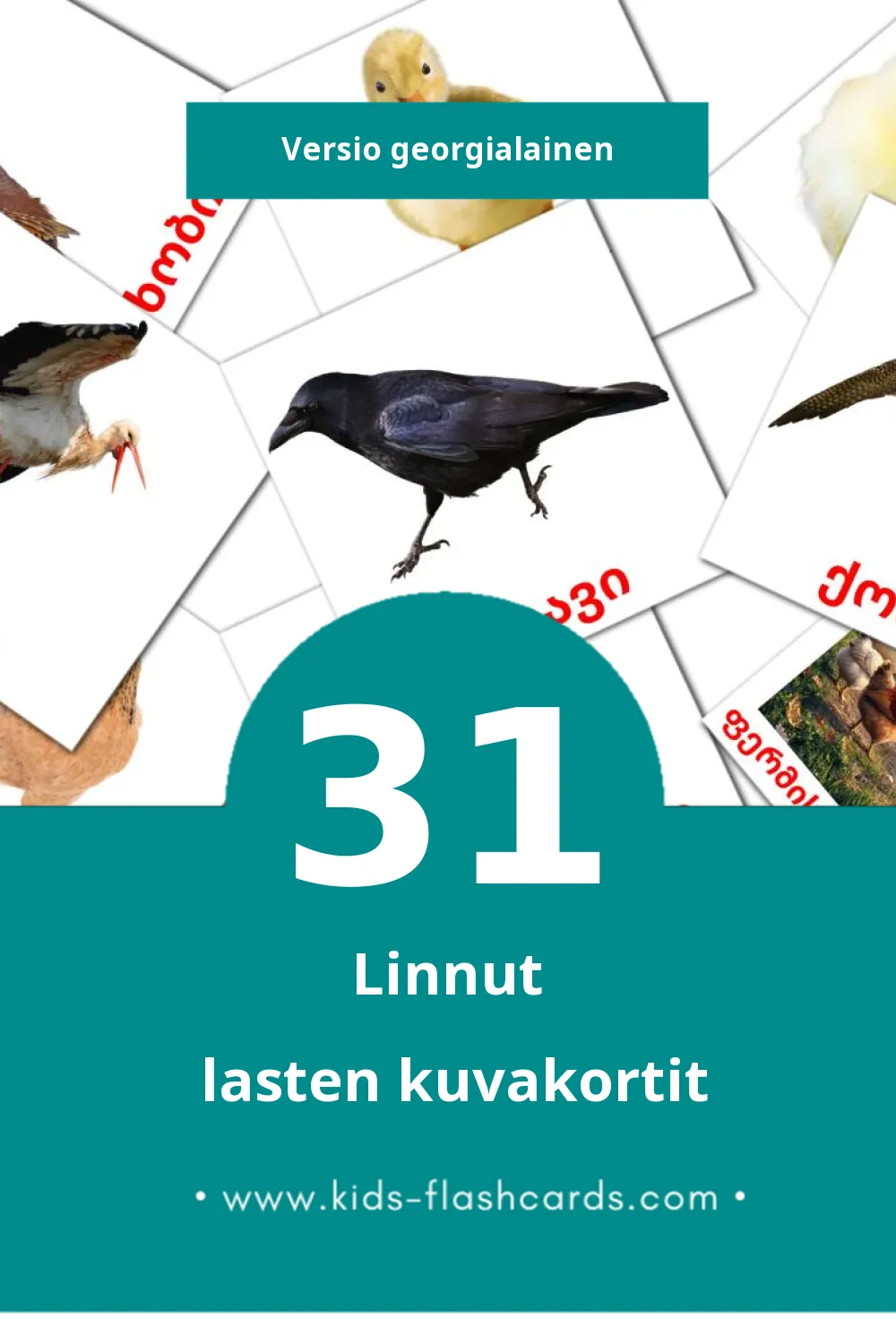 ფრინველები lasten kuvakortit pikkulapsille (31 korttia Georgialaiseksi)