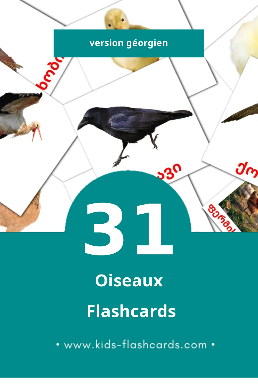 Flashcards Visual ფრინველები pour les tout-petits (31 cartes en Géorgien)