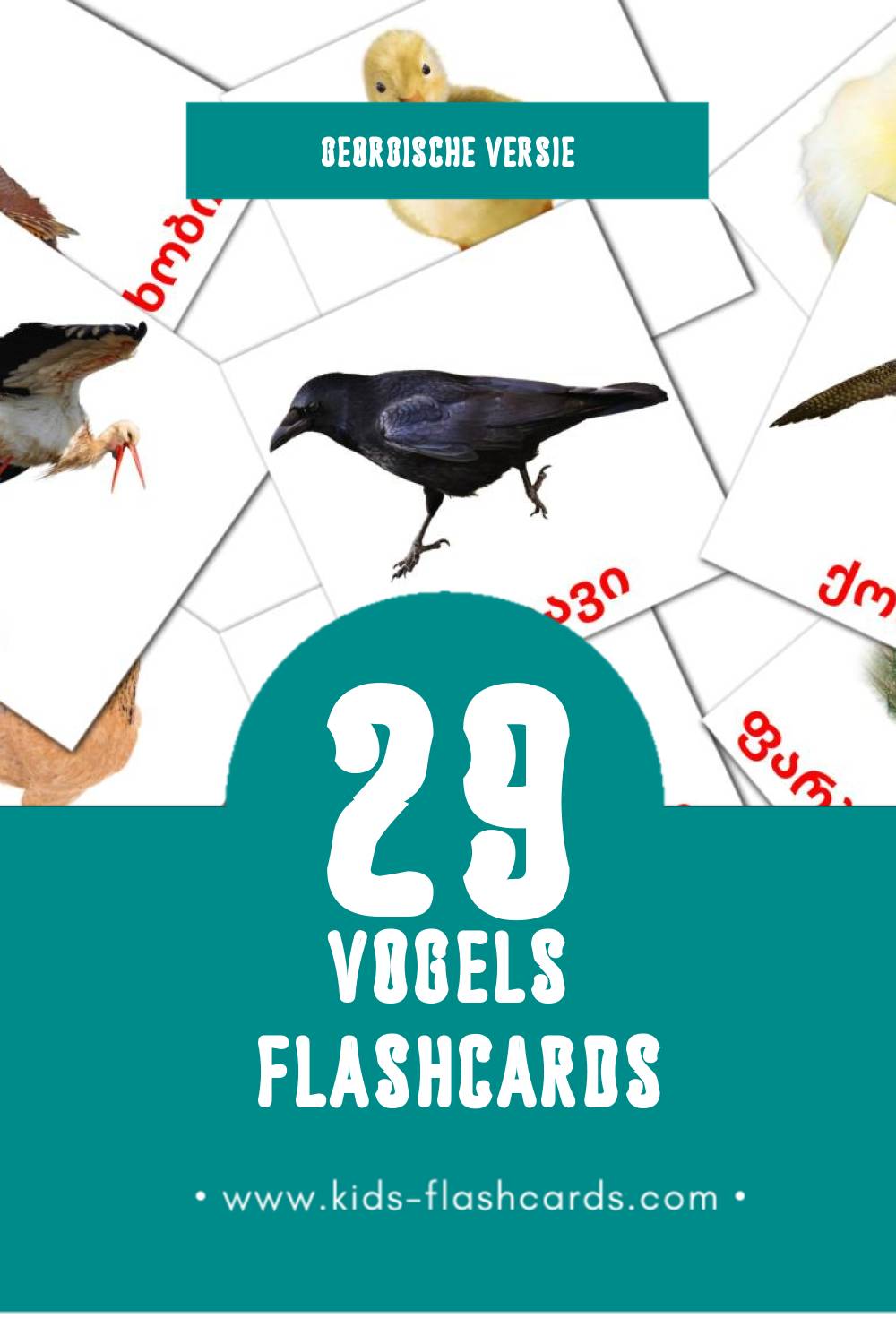 Visuele ფრინველები Flashcards voor Kleuters (29 kaarten in het Georgisch)
