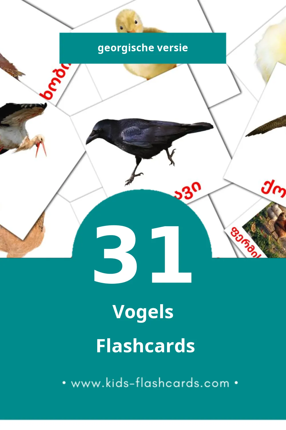 Visuele ფრინველები Flashcards voor Kleuters (31 kaarten in het Georgisch)