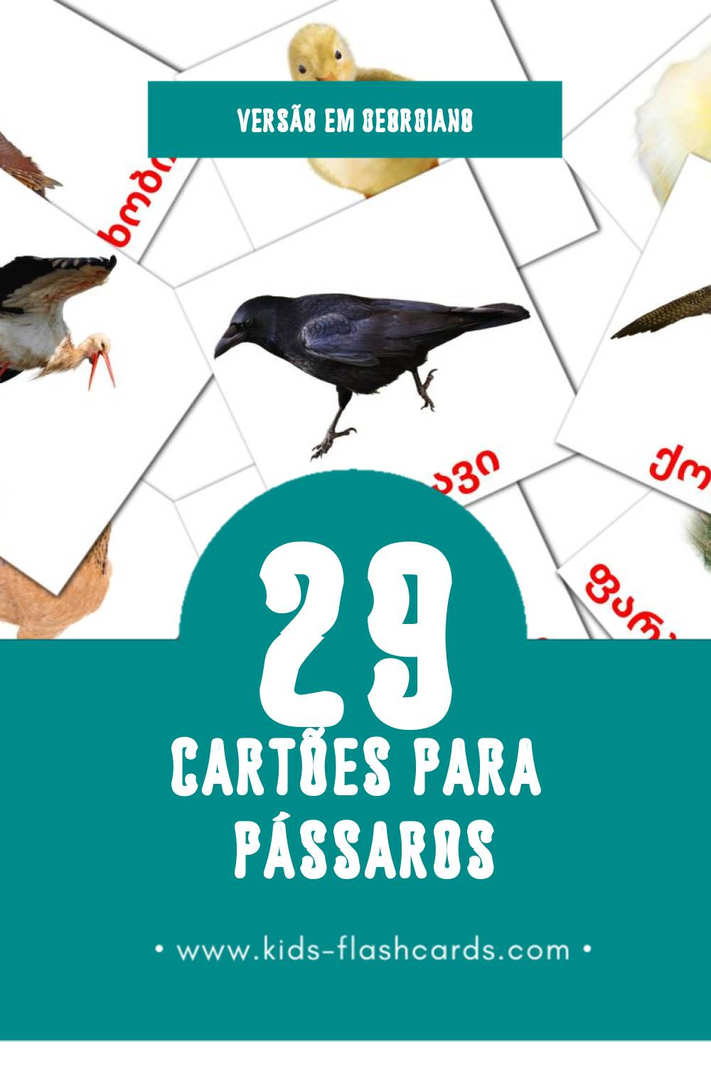 Flashcards de ფრინველები Visuais para Toddlers (29 cartões em Georgiano)