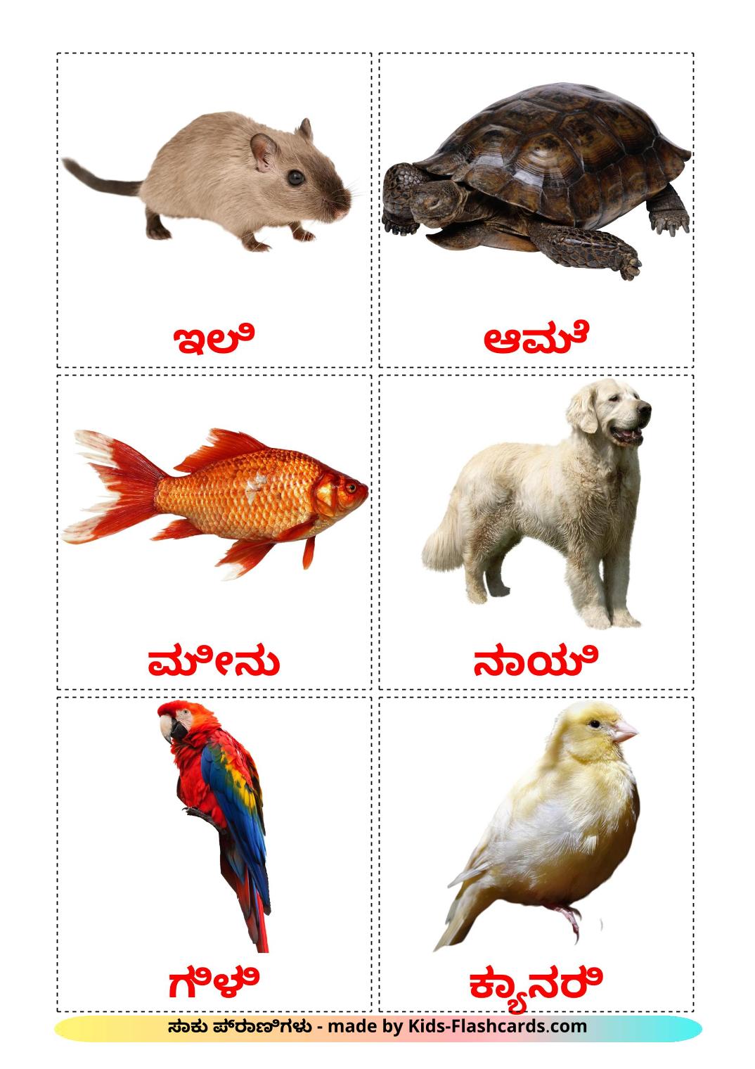 Domestic animals - 10 Free Printable kannada Flashcards 