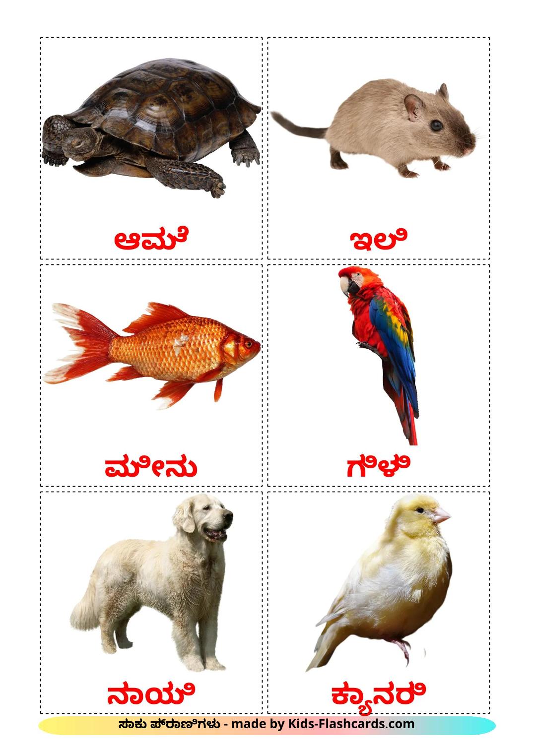 Domestic animals - 11 Free Printable kannada Flashcards 