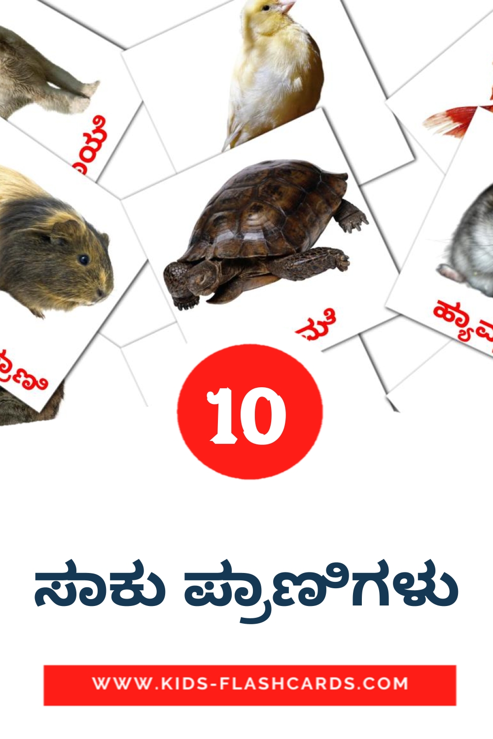 10 cartes illustrées de ಸಾಕು ಪ್ರಾಣಿಗಳು pour la maternelle en kannada