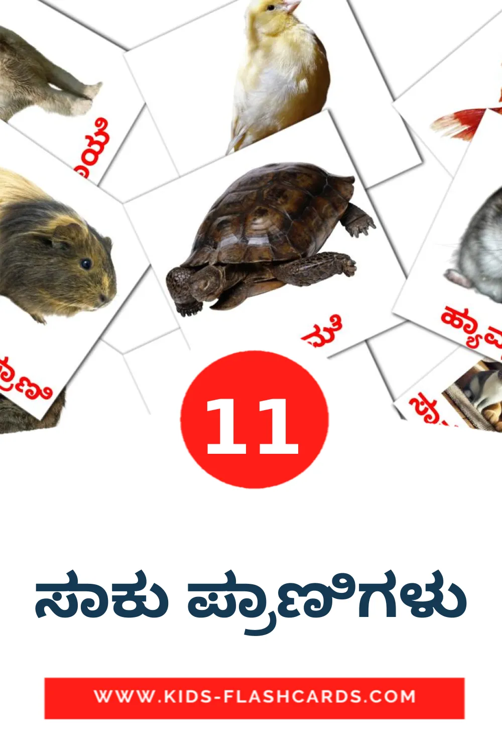 11 ಸಾಕು ಪ್ರಾಣಿಗಳು Picture Cards for Kindergarden in kannada