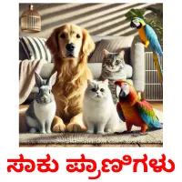 ಸಾಕು ಪ್ರಾಣಿಗಳು picture flashcards