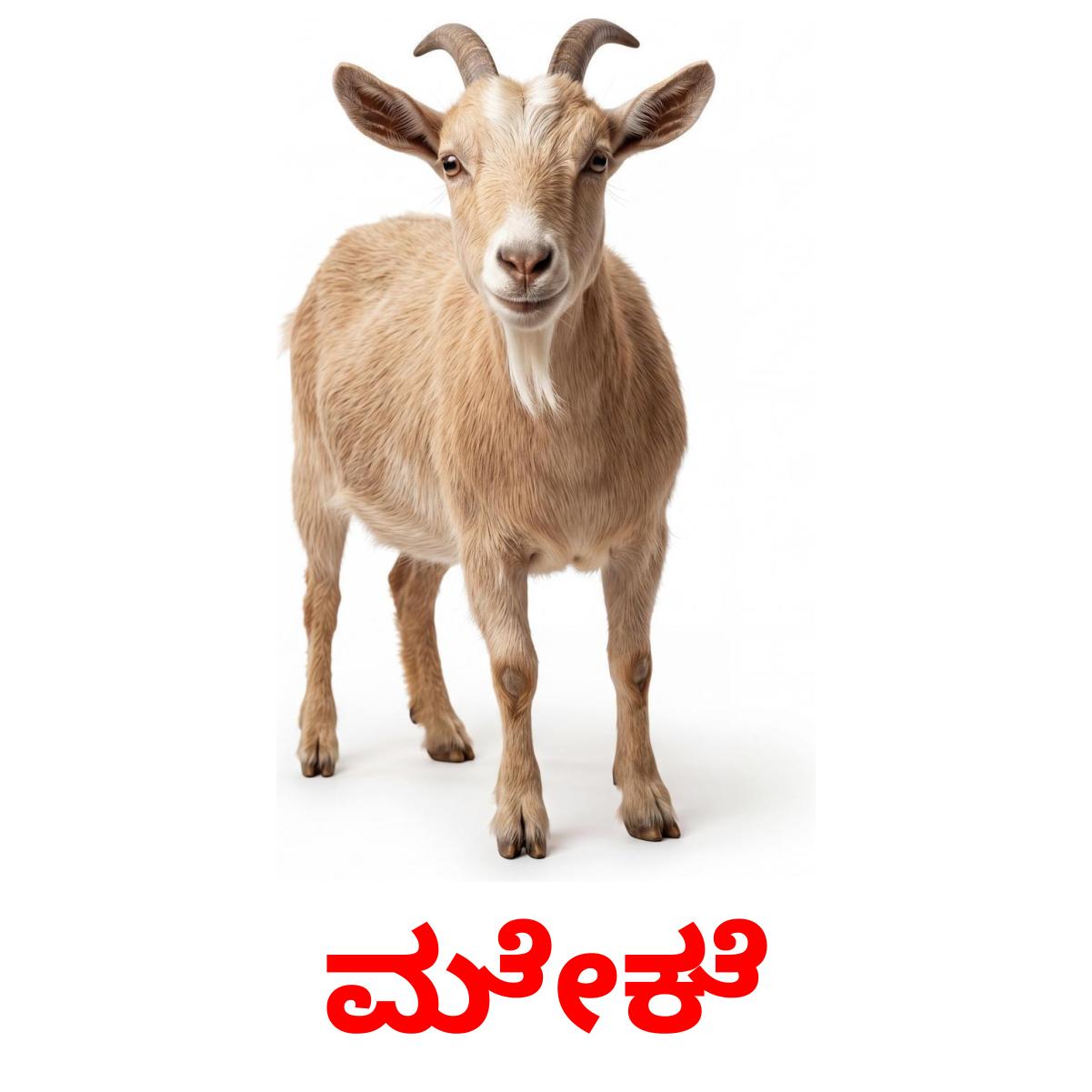 15 FREE Farm animals Flashcards | PDF | Kannada Words
