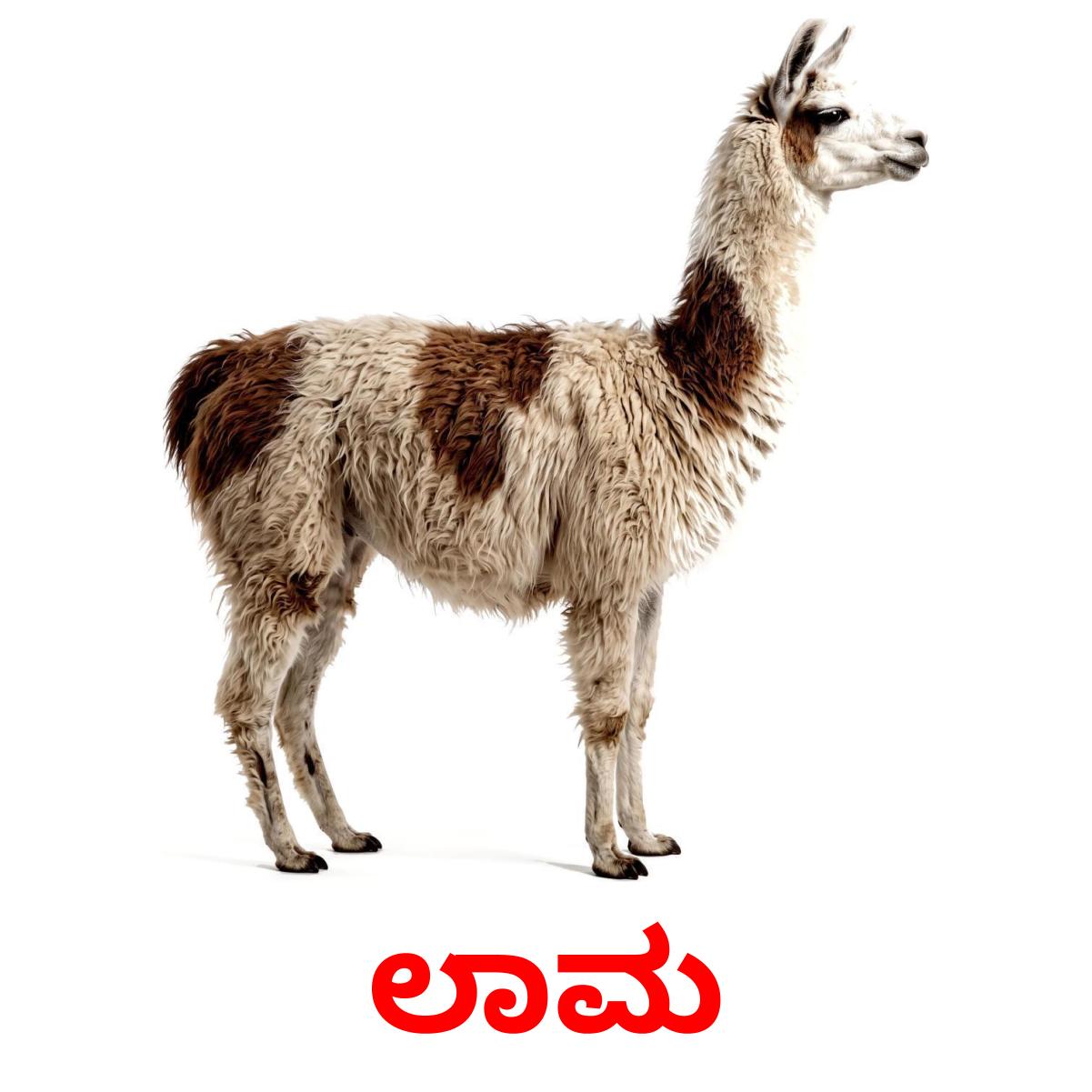 16 Printable Farm animals Flashcards in Kannada (Free PDF)