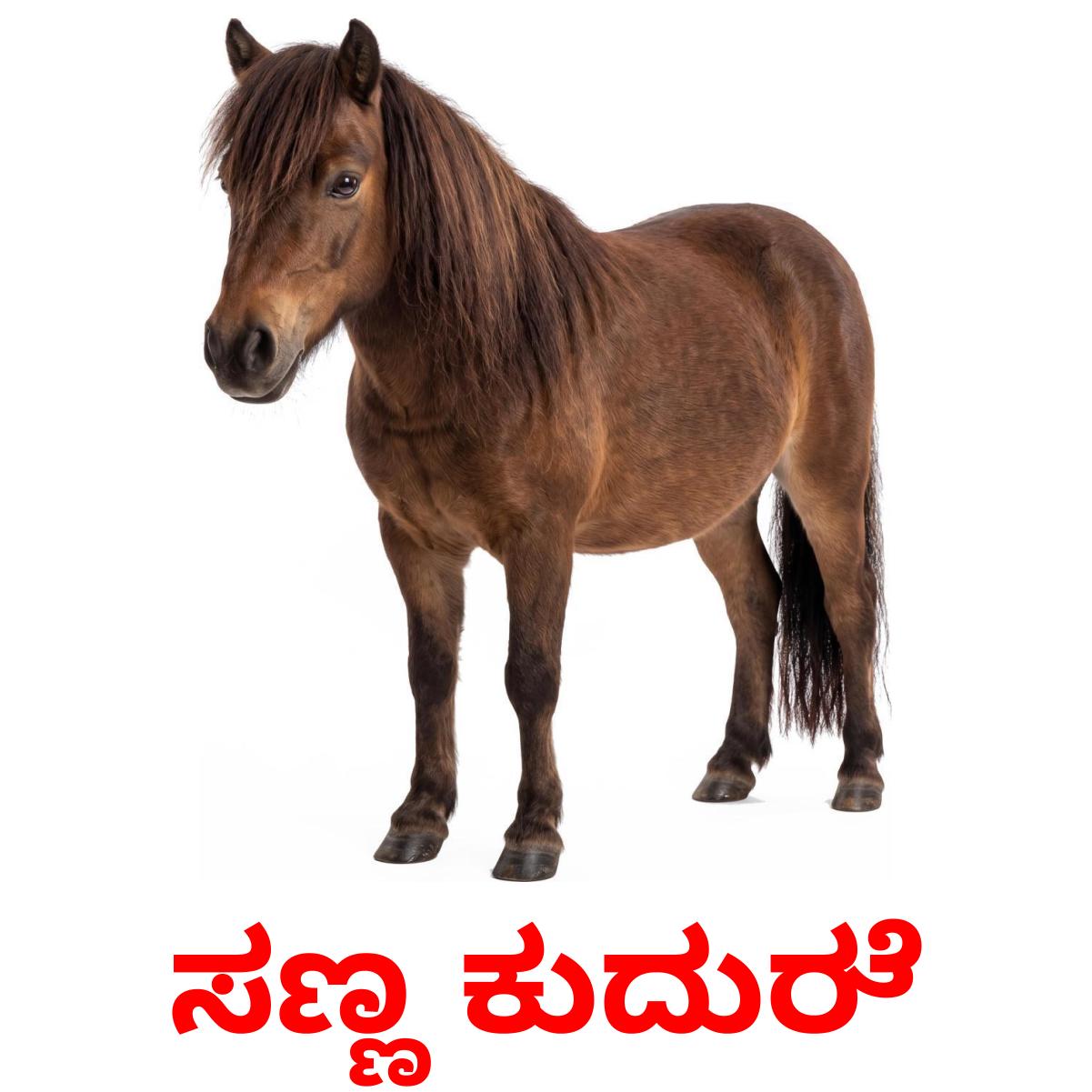 16 Printable Farm animals Flashcards in Kannada (Free PDF)
