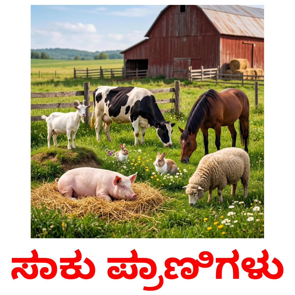 16 Printable Farm animals Flashcards in Kannada (Free PDF)