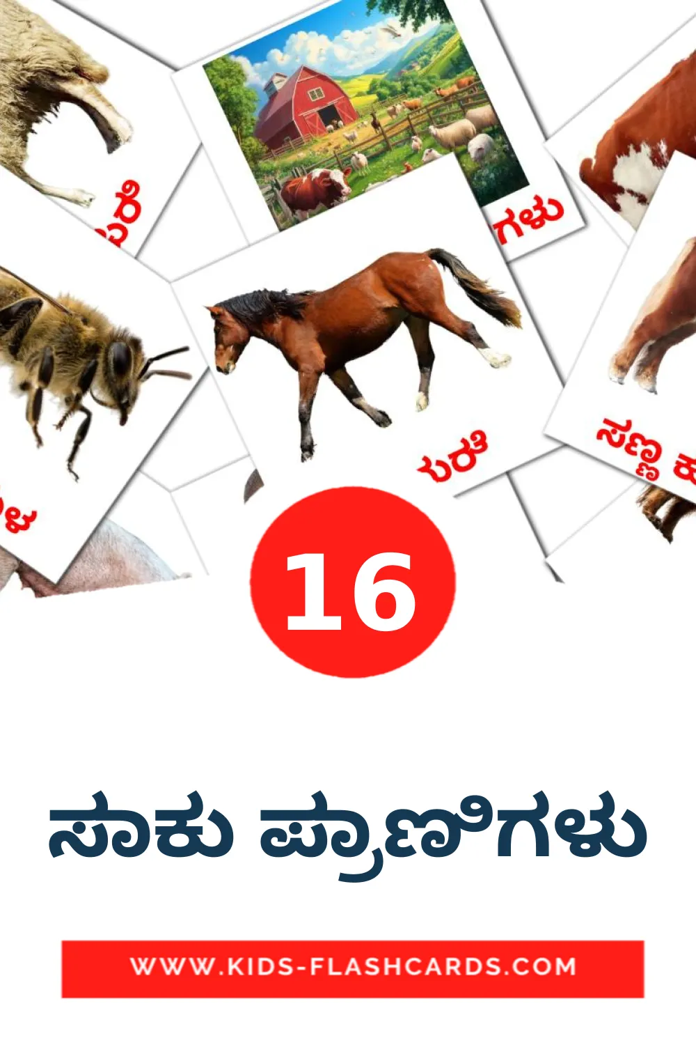 16 cartes illustrées de ಸಾಕು ಪ್ರಾಣಿಗಳು pour la maternelle en kannada