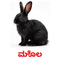 15 FREE Farm animals Flashcards | PDF | Kannada Words