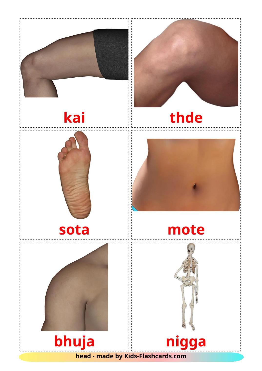 Partes del Cuerpo - 26 fichas de kannada para imprimir gratis 