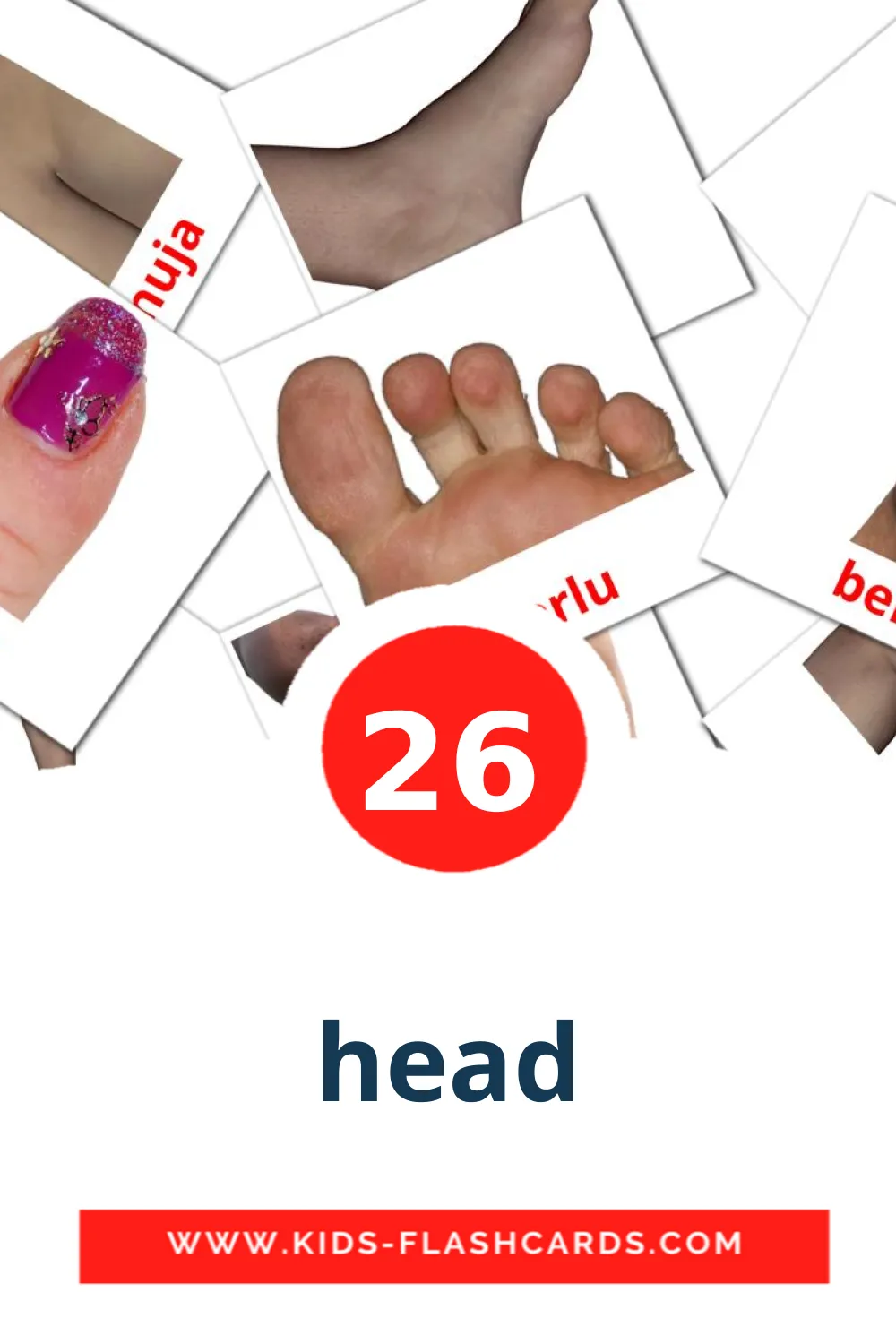 26 tarjetas didacticas de head para el jardín de infancia en kannada