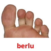 berlu Tarjetas didacticas