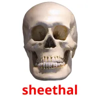 sheethal Tarjetas didacticas