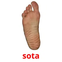 sota Tarjetas didacticas
