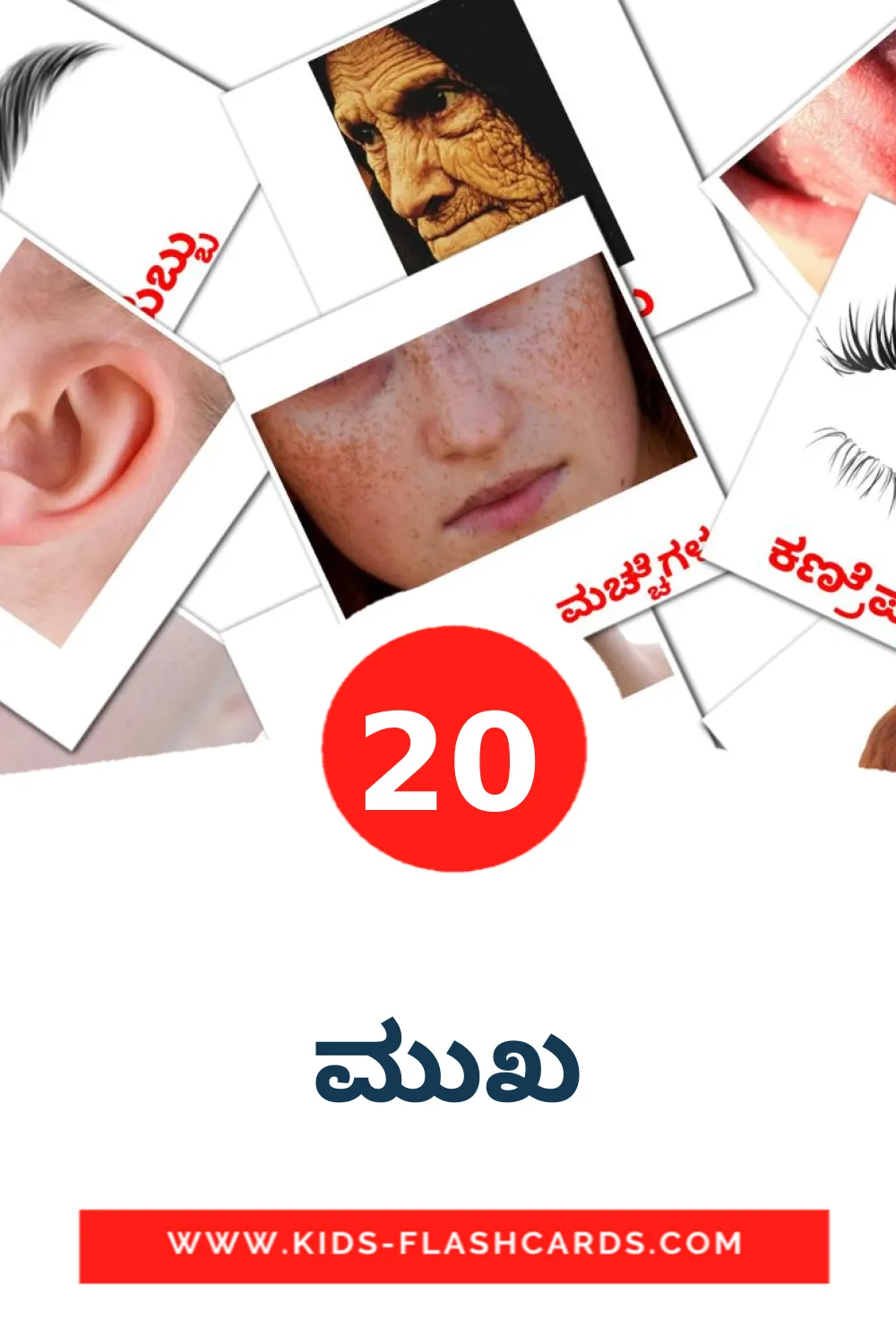 20 carte illustrate di ಮುಖ per la scuola materna in kannada