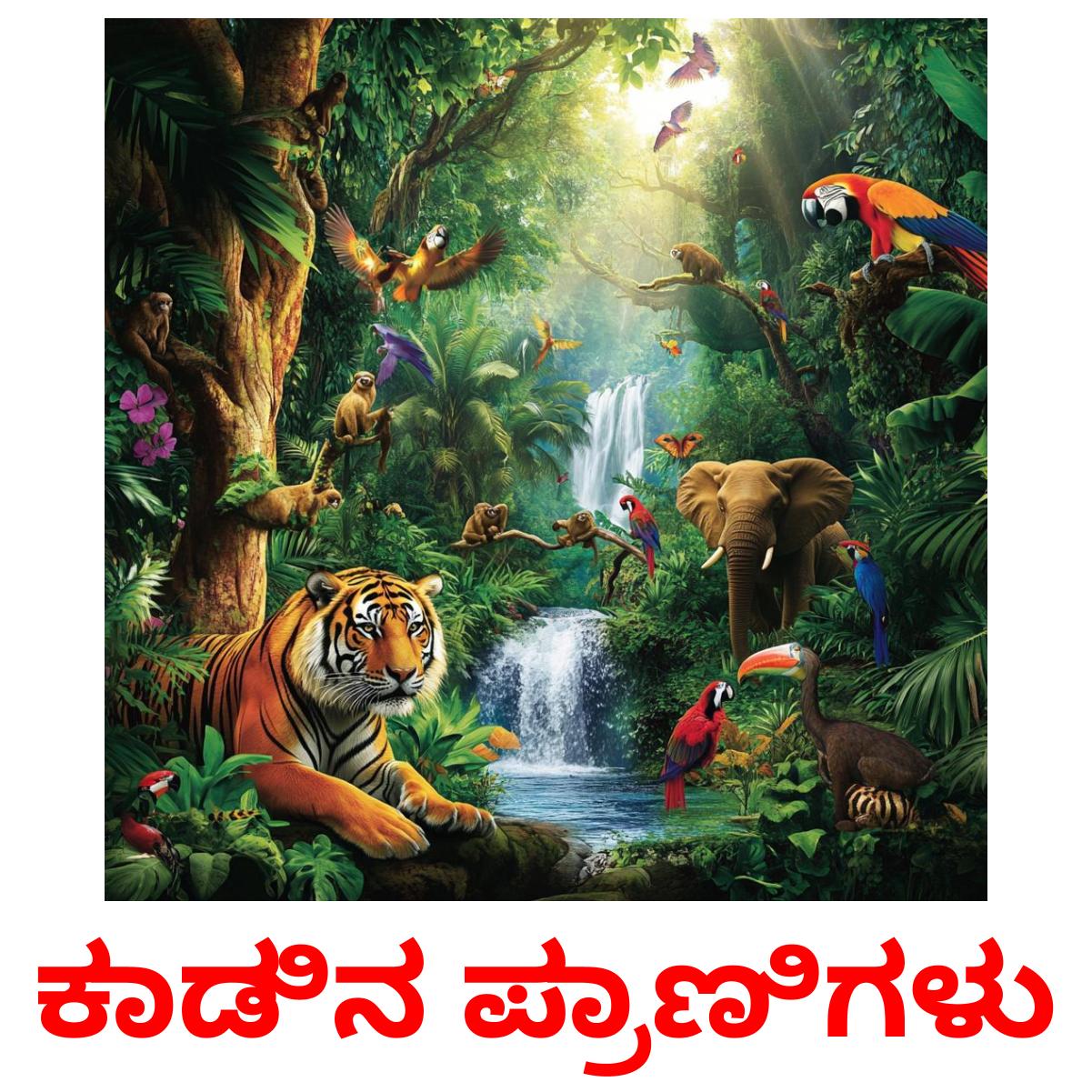 ಕಾಡಿನ ಪ್ರಾಣಿಗಳು flashcards illustrate