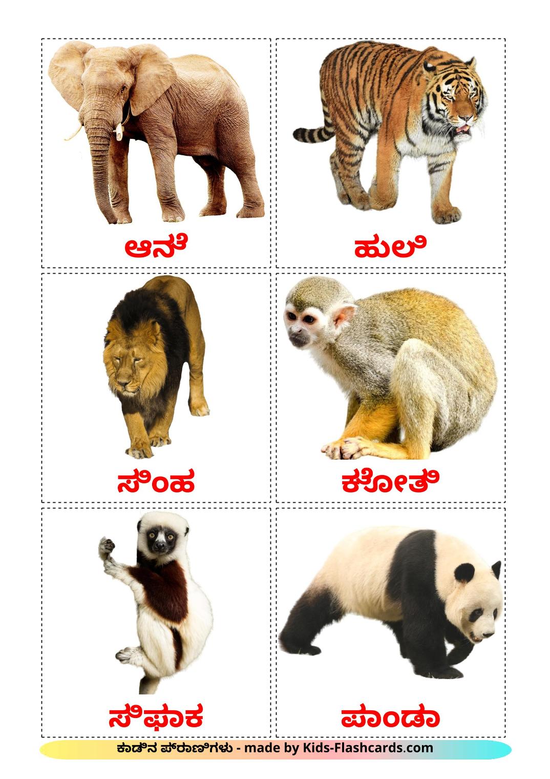 Jungle animals - 21 Free Printable kannada Flashcards 
