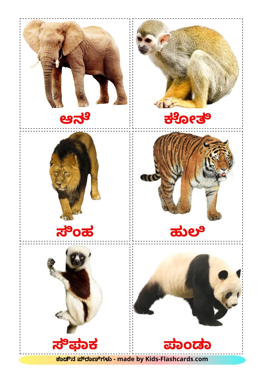 Jungle animals - 22 Free Printable kannada Flashcards 