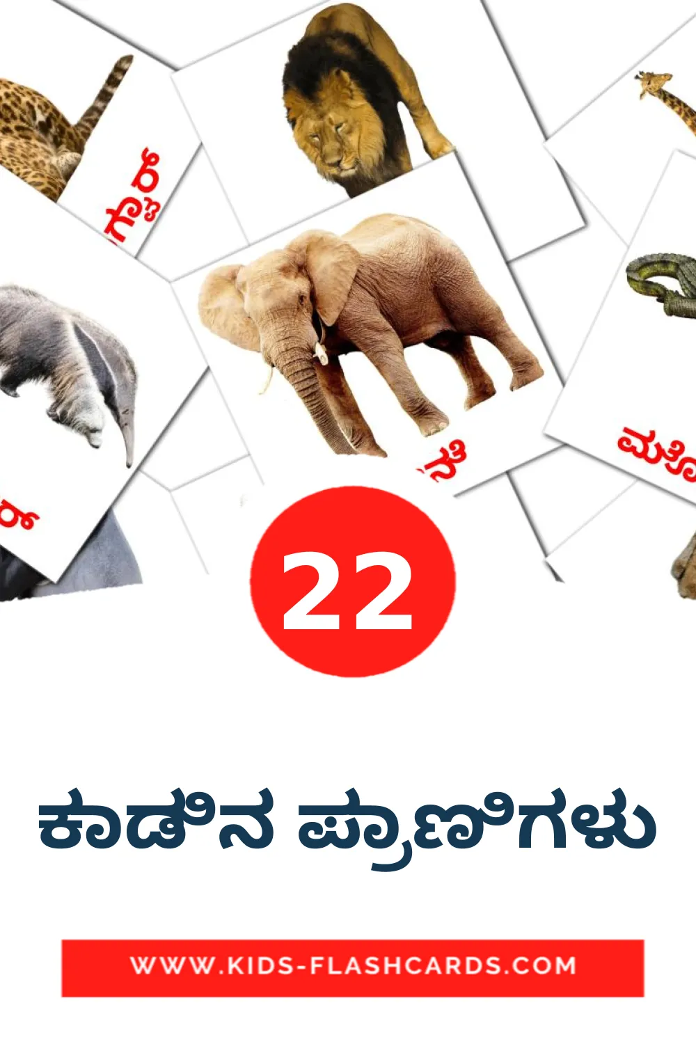 22 ಕಾಡಿನ ಪ್ರಾಣಿಗಳು Picture Cards for Kindergarden in kannada