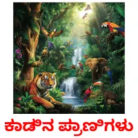 ಕಾಡಿನ ಪ್ರಾಣಿಗಳು picture flashcards