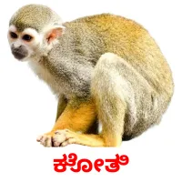 ಕೋತಿ picture flashcards