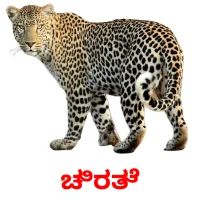 ಚಿರತೆ picture flashcards