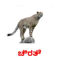 ಚಿರತೆ picture flashcards