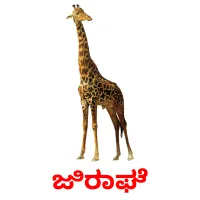 ಜಿರಾಫೆ picture flashcards